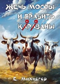 Жечь мосты и грабить корованы (СИ) - Михнегер Егор