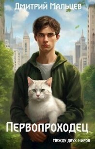 Первопроходец. Том 1 (СИ) - Мальцев Дмитрий