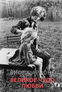 Великое чудо любви - Ардоне Виола