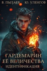 Идентификация (СИ) - Пылаев Валерий