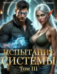 Испытание Системы III (СИ) - Котов Артём