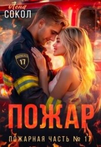 Пожар (СИ) - Сокол Елена