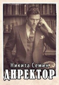 Директор (СИ) - Семин Никита