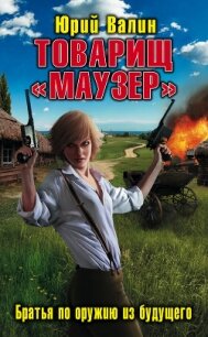 Товарищ «Маузер». Братья по оружию из будущего - Валин Юрий Павлович