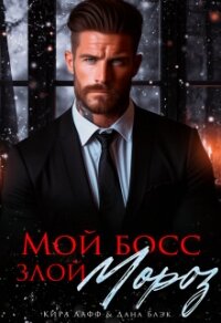 Мой босс - злой Мороз&#33; (СИ) - Лафф Кира