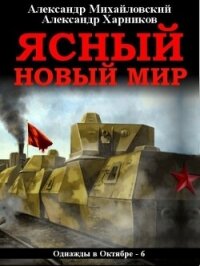 Ясный новый мир - Михайловский Александр Борисович