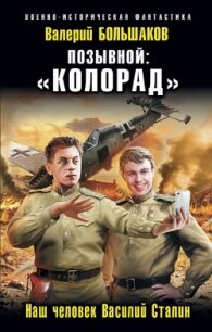 Позывной: Колорад. Наш человек Василий Сталин - Большаков Валерий Петрович