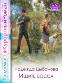 Ищите босса (СИ) - Цыбанова Надежда