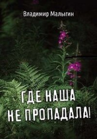 Где наша не пропадала. Трилогия (СИ) - Малыгин Владимир