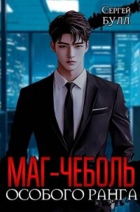 Маг-чеболь особого ранга (СИ) - Булл Сергей