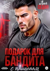 Подарок для бандита. С прицепом - Седая Лия