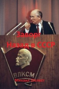 Заворг. Назад в СССР (СИ) - Шелест Михаил Васильевич