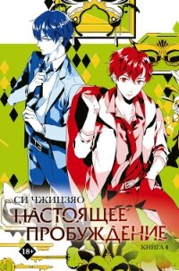 Настоящее пробуждение. Real Awakening. Книга 4 - Чжицзяо Си