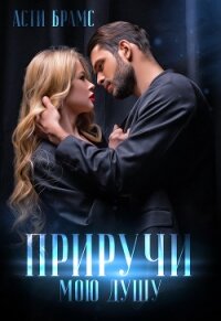 Приручи мою душу - "Asti Brams"