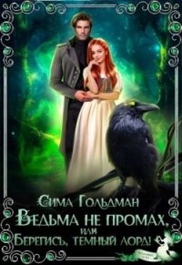 Ведьма не промах, или Берегись, темный лорд (СИ) - Гольдман Сима