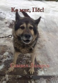 Ко мне, Пёс! - Лазарев Самвел Викторович