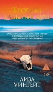 Тропой забытых душ - Уингейт Лиза