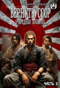 Десять лет спустя. Затерянный во времени (СИ) - Чинцов Вадим Владимирович