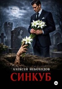 Синкуб - Небоходов Алексей