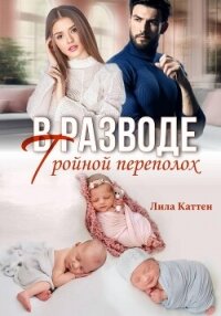 В разводе. Тройной переполох - Каттен Лила