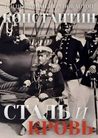 Сталь и Кровь (СИ) - Оченков Иван Валерьевич