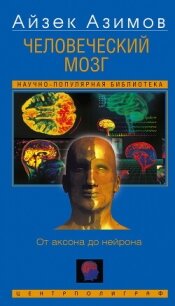Человеческий мозг. От аксона до нейрона - Азимов Айзек