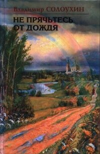 Не прячьтесь от дождя - Солоухин Владимир Алексеевич