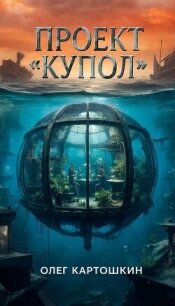 Проект "Купол" (СИ) - Картошкин Олег