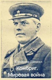 Мировая война (СИ) - Калинин Даниил Сергеевич