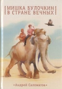 Мишка Булочкин в стране вечных - Саломатов Андрей Васильевич