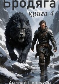 Бродяга. Книга четвёртая - Первухин Андрей Евгеньевич