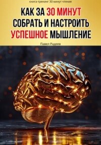 Как за 30 минут собрать и настроить успешное мышление - Радеев Павел