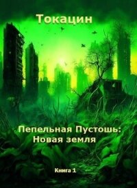 Пепельная Пустошь: Новая земля (СИ) - "Токацин"
