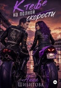К тебе на полной скорости - Шибитова Анна