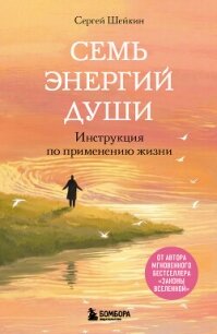 Семь энергий души. Инструкция по применению жизни - Шейкин Сергей