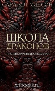 Противоречивые обещания (ЛП) - Уилсон Сара