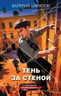 Тень за стеной - Шарапов Валерий
