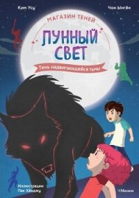 Магазин теней «Лунный свет». Книга 4. Тень надвигающейся тьмы - Ынгён Чон