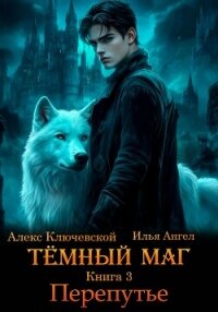 Тёмный маг. Книга 3. Перепутье - Ключевской (Лёха) Алекс