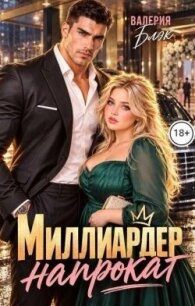 Миллиардер напрокат (СИ) - Блэк Валерия