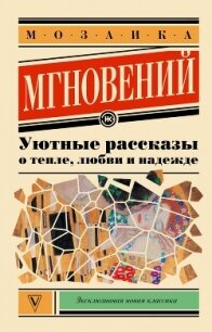 Мозаика мгновений. Уютные рассказы о тепле, любви и надежде - Большаков Валентин