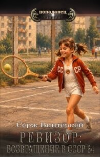 Ревизор: возвращение в СССР 64 (СИ) - Винтеркей Серж