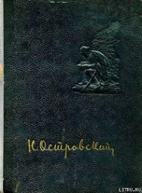 Рожденные бурей - Островский Николай Алексеевич