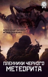 Пленники черного метеорита - Бачило Александр Геннадьевич