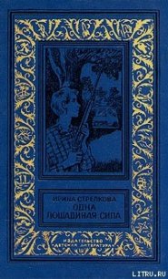 Похищение из провинциального музея - Стрелкова Ирина Ивановна