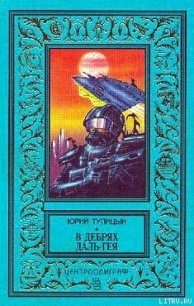 В дебрях Даль-Гея - Тупицын Юрий Гаврилович