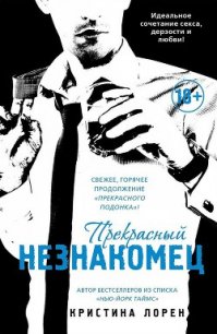 Прекрасный незнакомец - Лорен Кристина