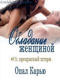 Прекрасный Шторм (ЛП) - Карью Опал