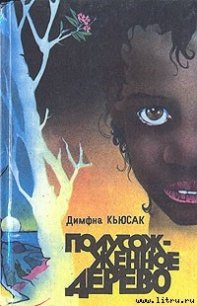 Чёрная молния - Кьюсак Димфна