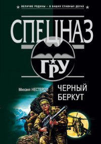 Черный беркут - Нестеров Михаил Петрович